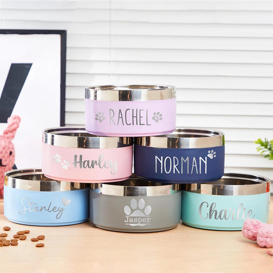 Custom Stainless Steel Dog Cat Bowl Double Vacuum Feeding Pet Bowl Large Capacity Dog Food Water Bowl Dog Accessories Puppy