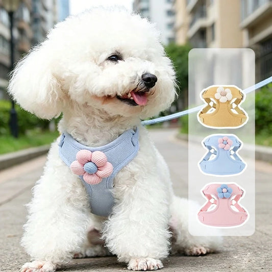 Dog Harness with 1.5m Leash Set Adjustable Pet Harness for Puppy Cats French Bulldog Chihuahua Outdoor Walking Lead Leash