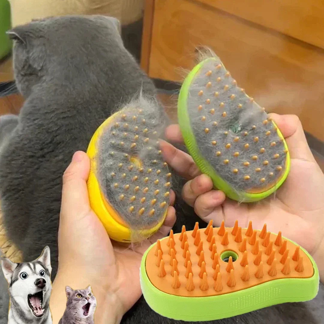 Cat Essentials