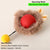 Indoor Interactive Birds Toy for Cat Chasing Teasing Toy Sounding Catnip Cat Teaser Toy Self-hilarity Wall Hanging Birds Cat Toy